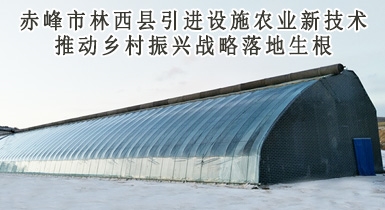 赤峰市林西縣引進設施農(nóng)業(yè)新技術(shù)推動鄉(xiāng)村振興戰(zhàn)略落地生根